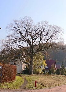 Im Ahornpark Ilfeld soll eine neue Sitzgruppe entstehen