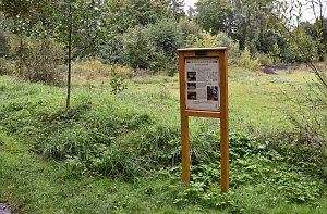 Auf dem Südharzer Bienenlehrpfad