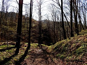 Unterwegs im Brandesbachtal
