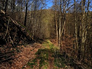Unterwegs im Brandesbachtal