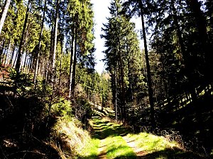 Peter Blei unterwegs an der Eisfelder Talmühle