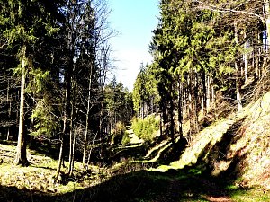 Peter Blei unterwegs an der Eisfelder Talmühle