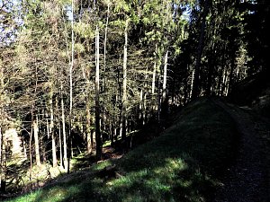 Peter Blei unterwegs an der Eisfelder Talmühle