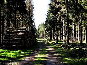 Peter Blei unterwegs an der Eisfelder Talmühle