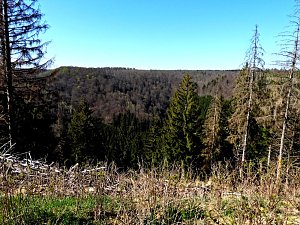 Peter Blei unterwegs an der Eisfelder Talmühle