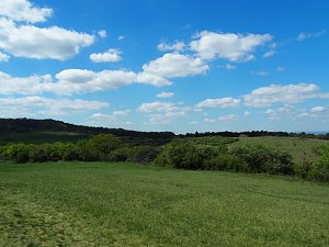 Wandern am Stausee Kelbra