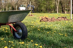 Obstb&auml;ume in Werna gepflanzt