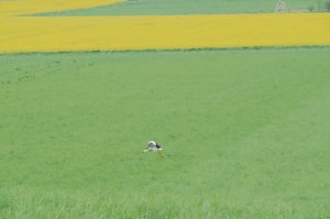 Unterwegs bei Auleben
