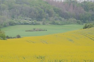 Unterwegs bei Auleben