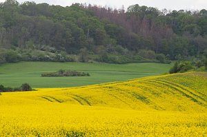 Unterwegs bei Auleben