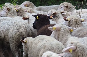 Unterwegs bei Auleben