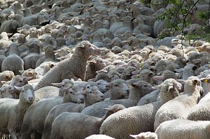 Unterwegs bei Auleben