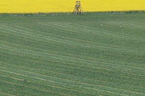 Unterwegs bei Auleben