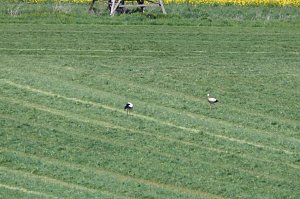 Unterwegs bei Auleben