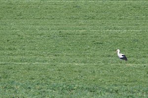 Unterwegs bei Auleben