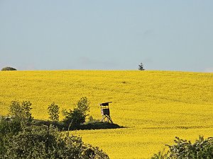 Windl&uuml;cke