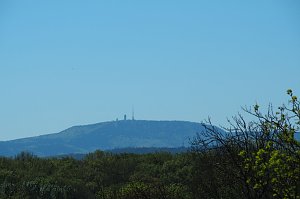 Auf dem Baumkronenpfad