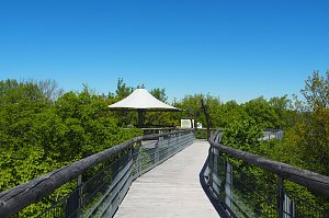 Auf dem Baumkronenpfad