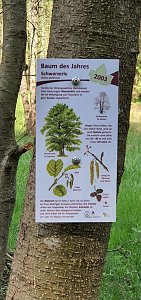 Balsam f&uuml;r die Seele