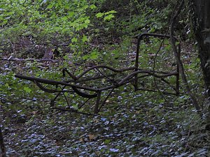 Heilst&auml;tten Beelitz