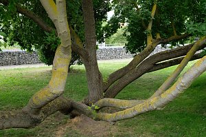 Impressionen vom Petersberg