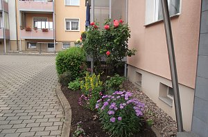 So macht Wohnen Spa&szlig; und bringt viel Freude