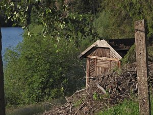 Peter Blei unterwegs an der Neust&auml;dter Talsperre