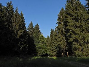 Peter Blei unterwegs an der Neust&auml;dter Talsperre