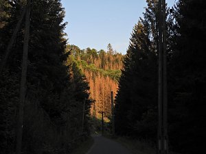 Peter Blei unterwegs an der Neust&auml;dter Talsperre