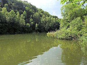 Tanzteich bei Niedersachswerfen