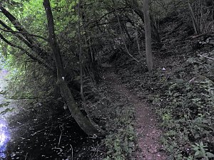 Tanzteich bei Niedersachswerfen
