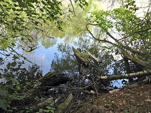 Tanzteich bei Niedersachswerfen