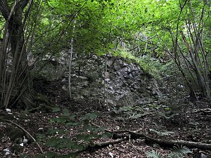 Tanzteich bei Niedersachswerfen