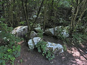 Tanzteich bei Niedersachswerfen