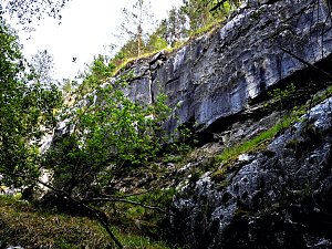 Tanzteich bei Niedersachswerfen