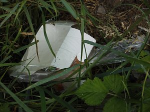 M&uuml;ll in der Landschaft
