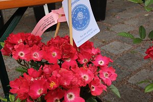 Erster Nordh&auml;user Rosenmarkt