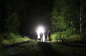 Erkundungen in der Welt der Nachtfalter