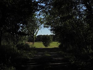 Rund um Petersdorf