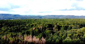 Rund um Petersdorf