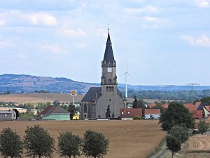 Peter Blei unterwegs im Sonnenblumenfeld