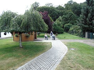 Sonnenhof im Juli