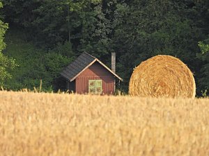 Naturwanderung bei Neustadt 