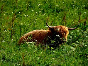 Naturwanderung bei Neustadt 