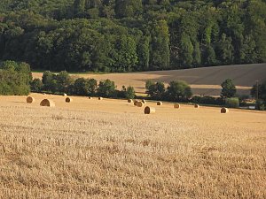 Naturwanderung bei Neustadt 