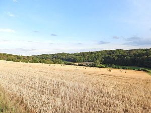 Naturwanderung bei Neustadt 