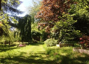 Ahornpark Ilfeld