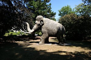 Park des Kunsthauses Meyenburg
