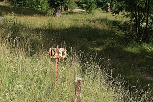 Was passiert im einst so sch&ouml;nen Teichtal bei Hainrode?