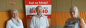Silberdisteln bei ENNO